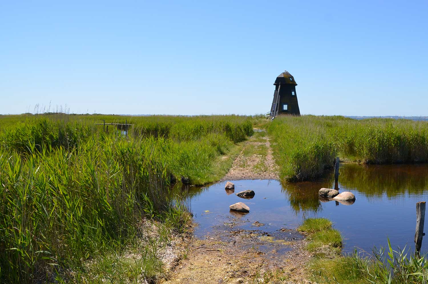 Hjortø. Copyright: ØHAVS-MEDIA